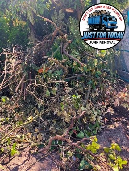 Branches loaded for yard waste disposal in Metro Vancouver
