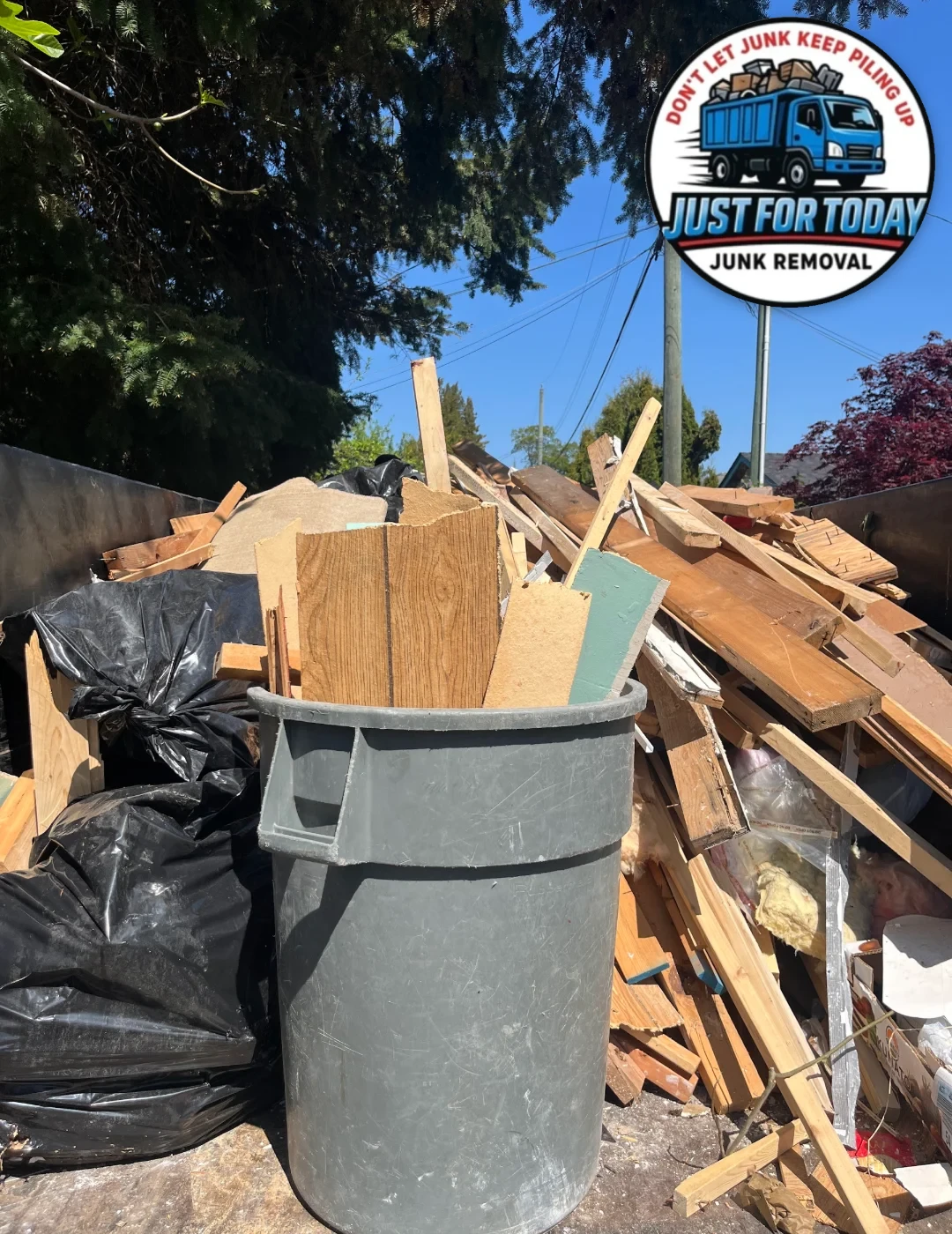 Professional junk removal at work