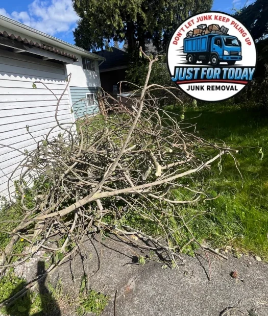 Professional junk removal at work